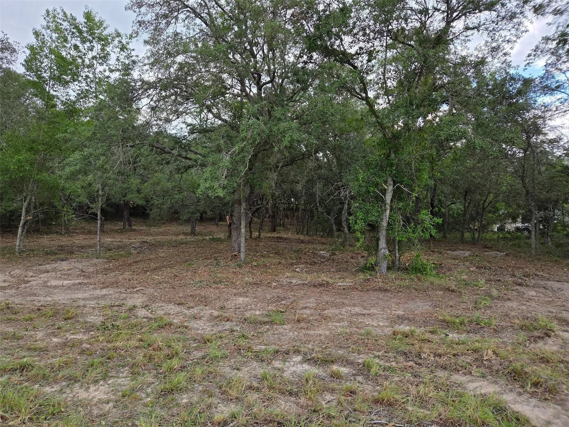 21531 SE 68th Lane Morriston FL 32668