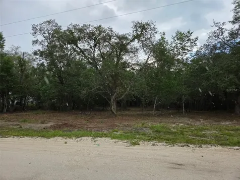 21531 SE 68th Lane Morriston FL 32668