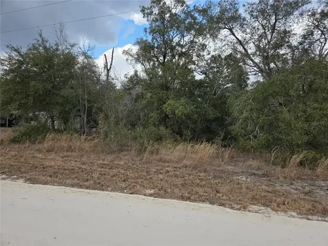 21531 SE 68th Lane Morriston FL 32668