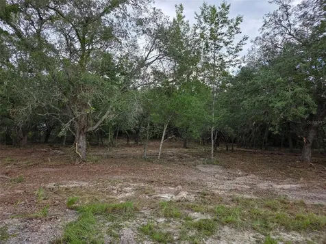 21531 SE 68th Lane Morriston FL 32668
