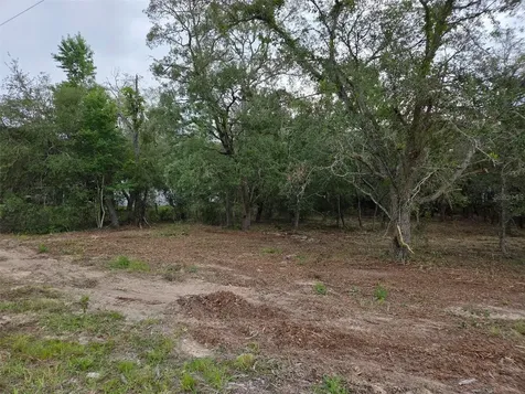 21531 SE 68th Lane Morriston FL 32668