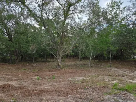 21531 SE 68th Lane Morriston FL 32668