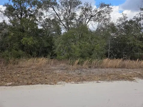 21531 SE 68th Lane Morriston FL 32668