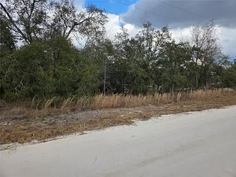 21531 SE 68th Lane Morriston FL 32668