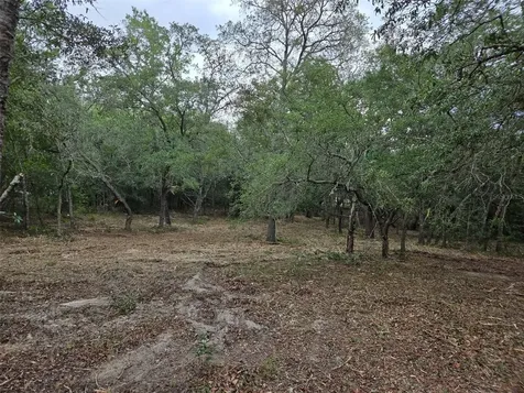 21531 SE 68th Lane Morriston FL 32668