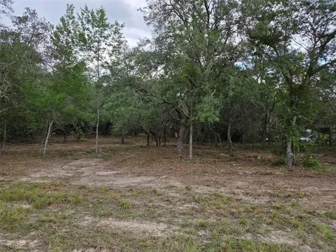 21531 SE 68th Lane Morriston FL 32668