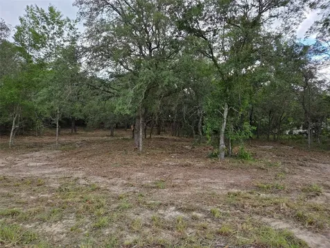 21531 SE 68th Lane Morriston FL 32668