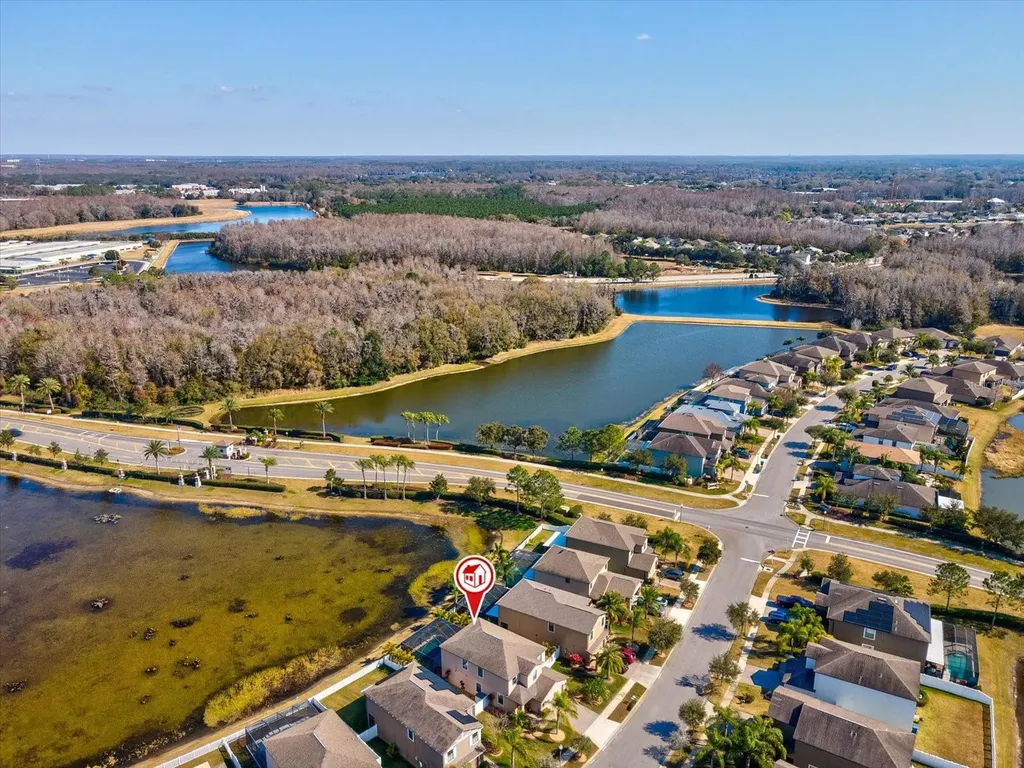 1716 Hadden Hall Place Trinity FL 34655
