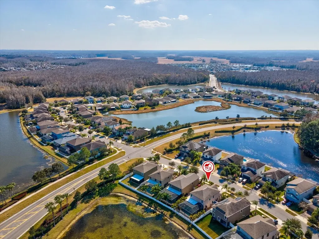 1716 Hadden Hall Place Trinity FL 34655