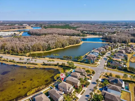 1716 Hadden Hall Place Trinity FL 34655