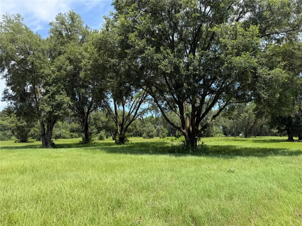 Tbd NW 329 Reddick FL 32686