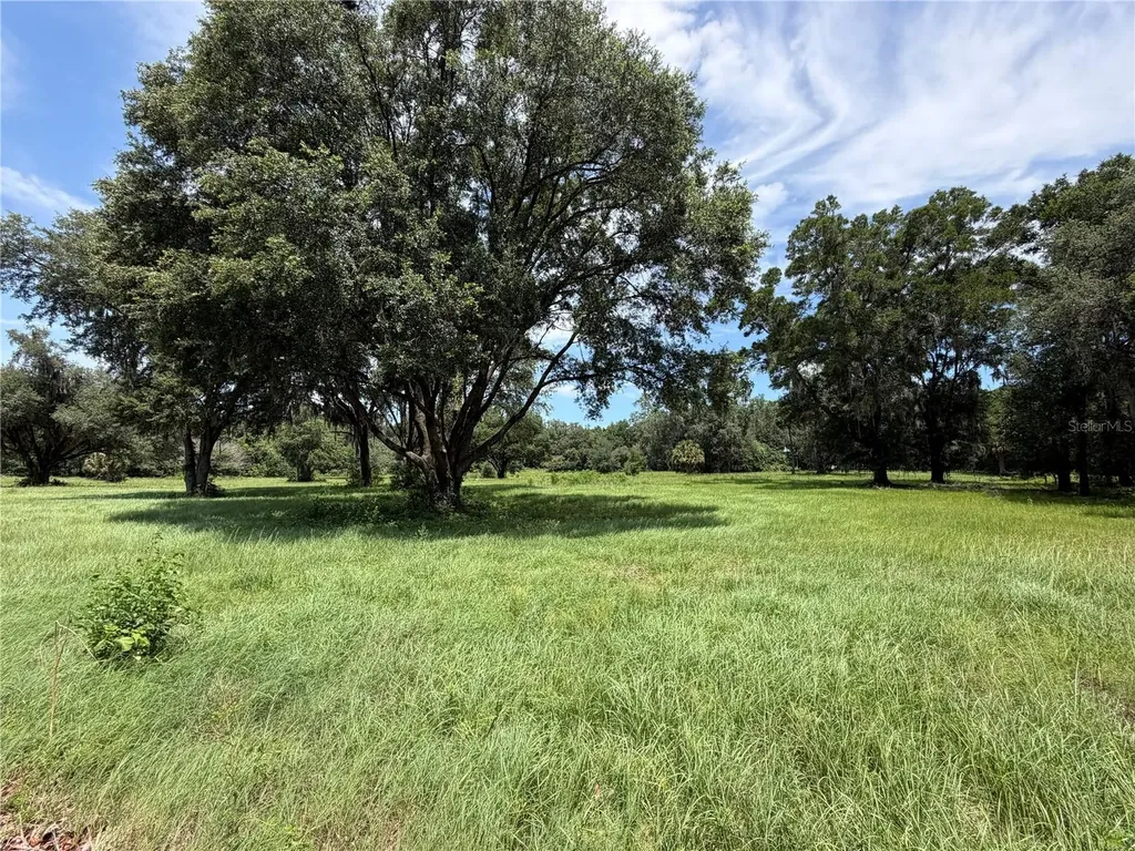 Tbd NW 329 Reddick FL 32686