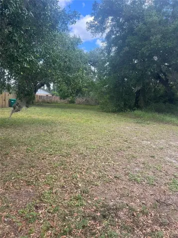 E Jackson Avenue Mount Dora FL 32757
