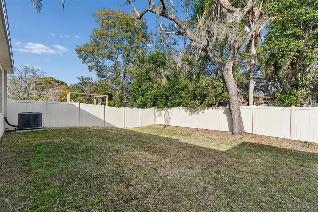 5221 Hillside Meadow Place Tampa FL 33610