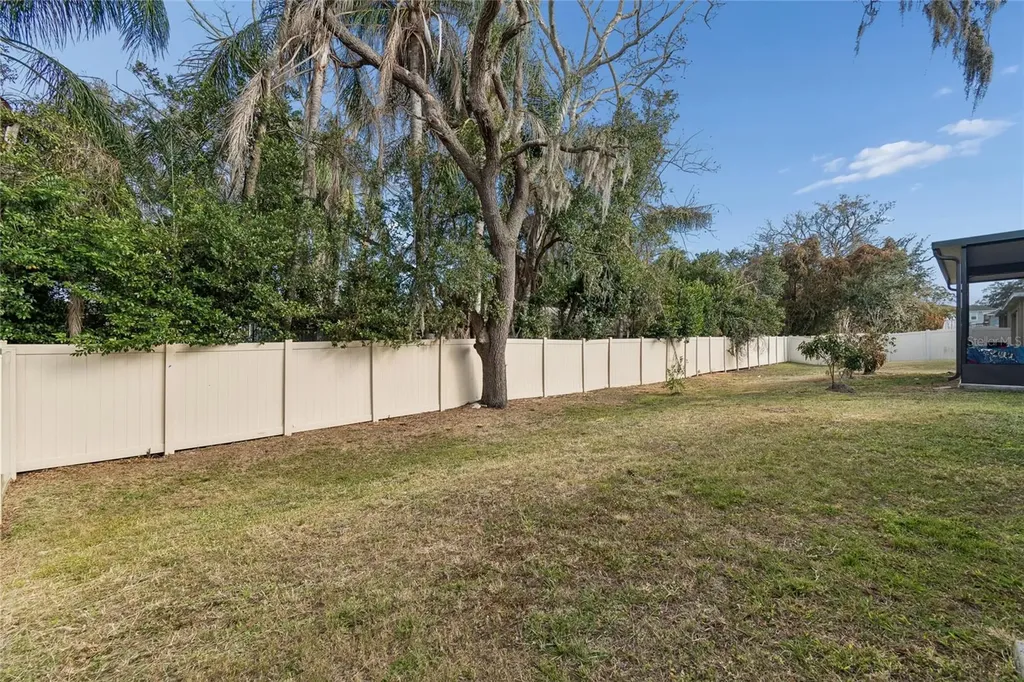 5221 Hillside Meadow Place Tampa FL 33610