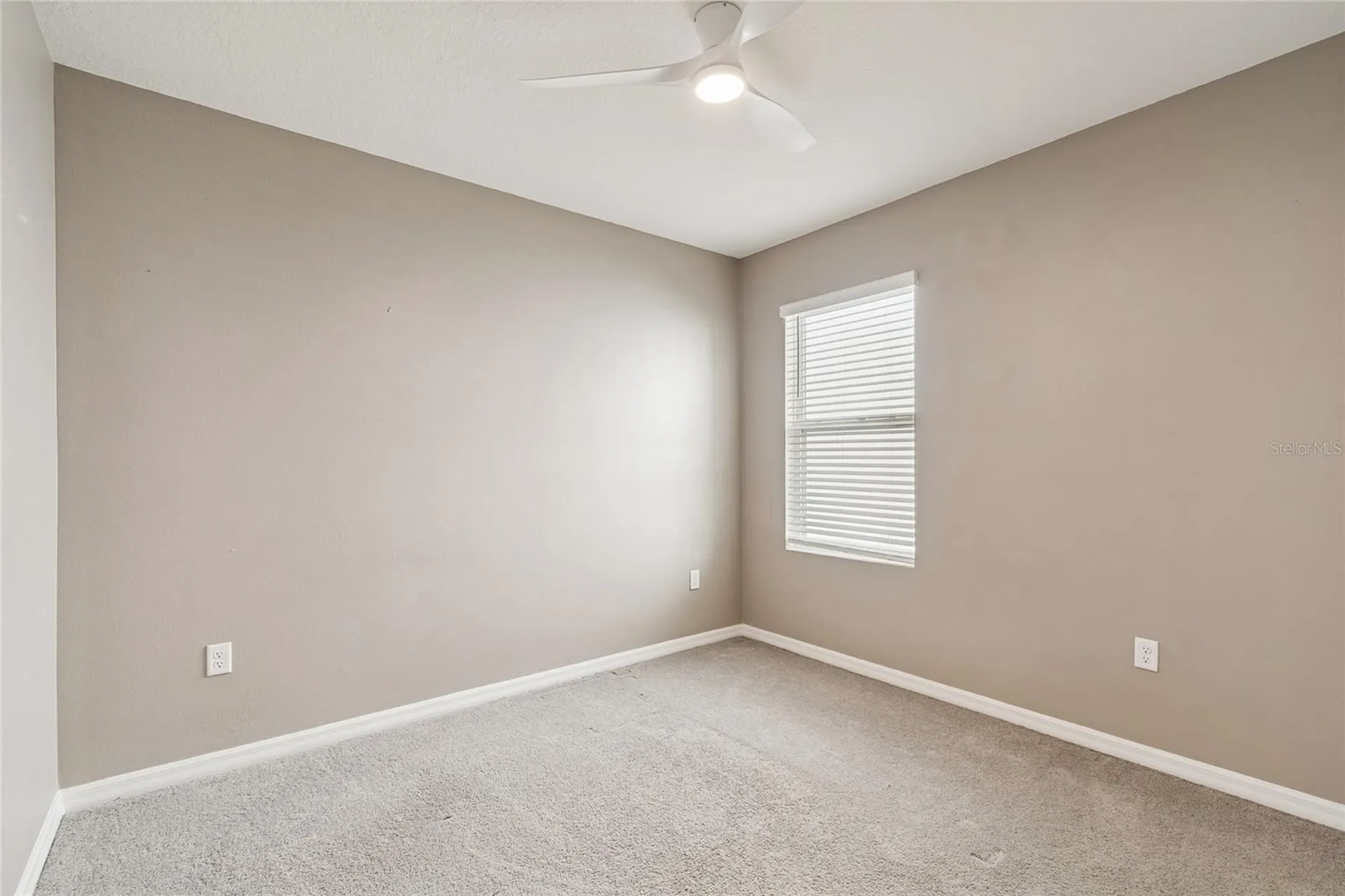 5221 Hillside Meadow Place Tampa FL 33610