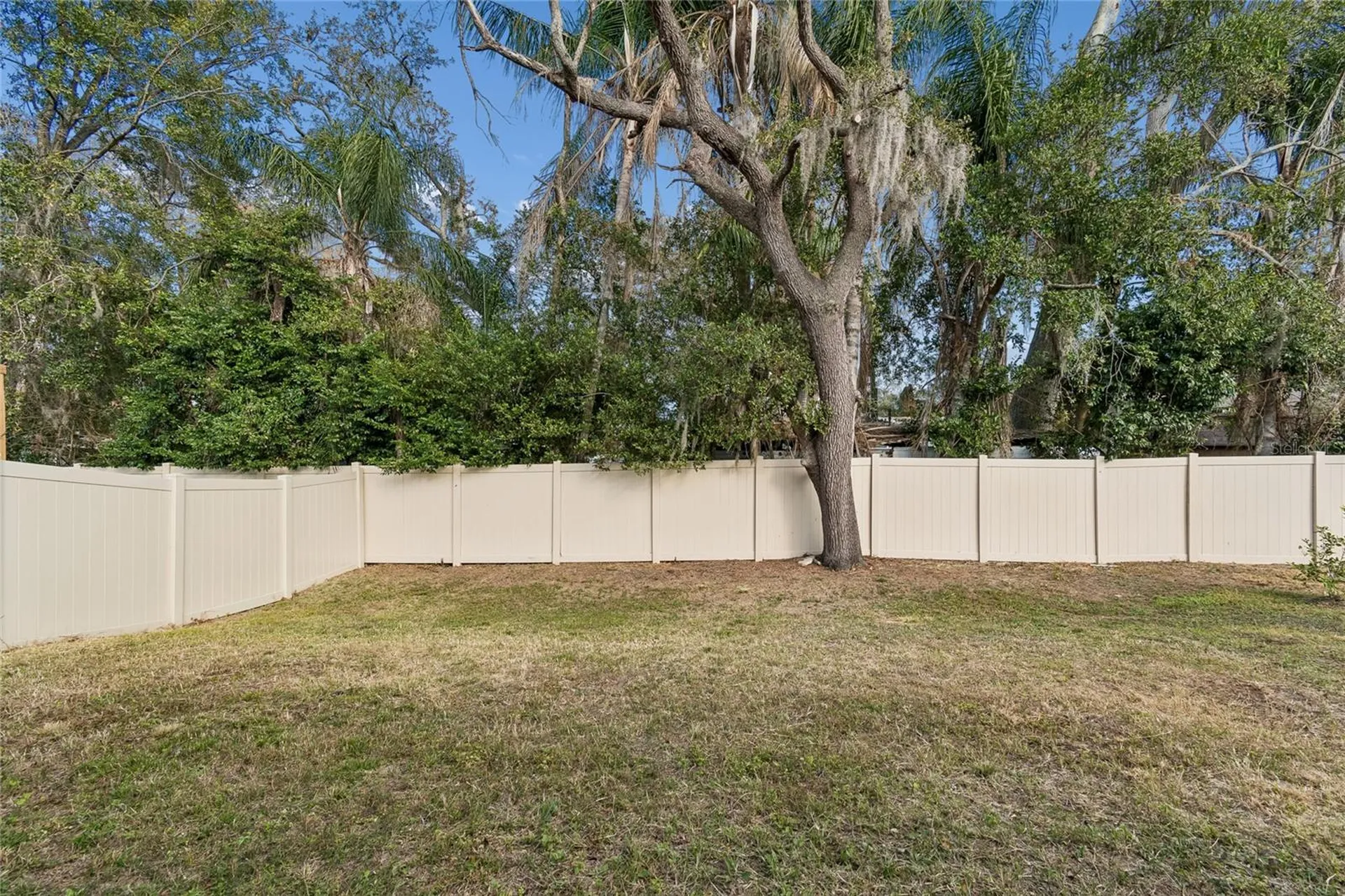5221 Hillside Meadow Place Tampa FL 33610