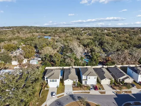 5221 Hillside Meadow Place Tampa FL 33610