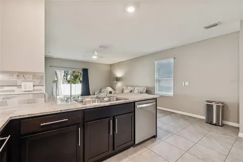 5221 Hillside Meadow Place Tampa FL 33610
