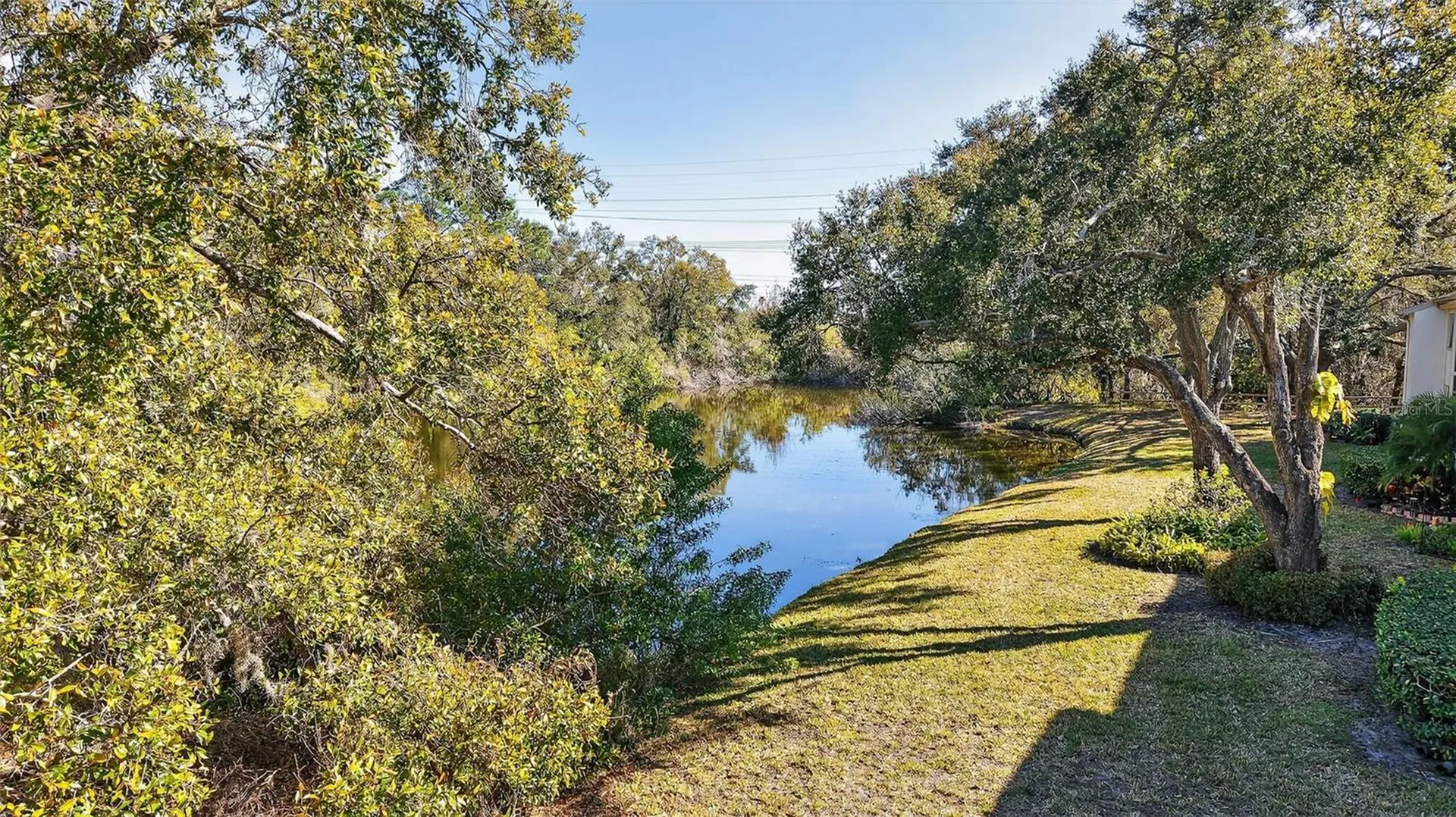 208 Cypress Court Oldsmar FL 34677