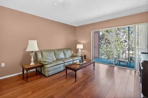 208 Cypress Court Oldsmar FL 34677