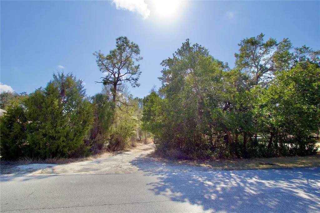 10458 Gypsy Avenue Weeki Wachee FL 34613