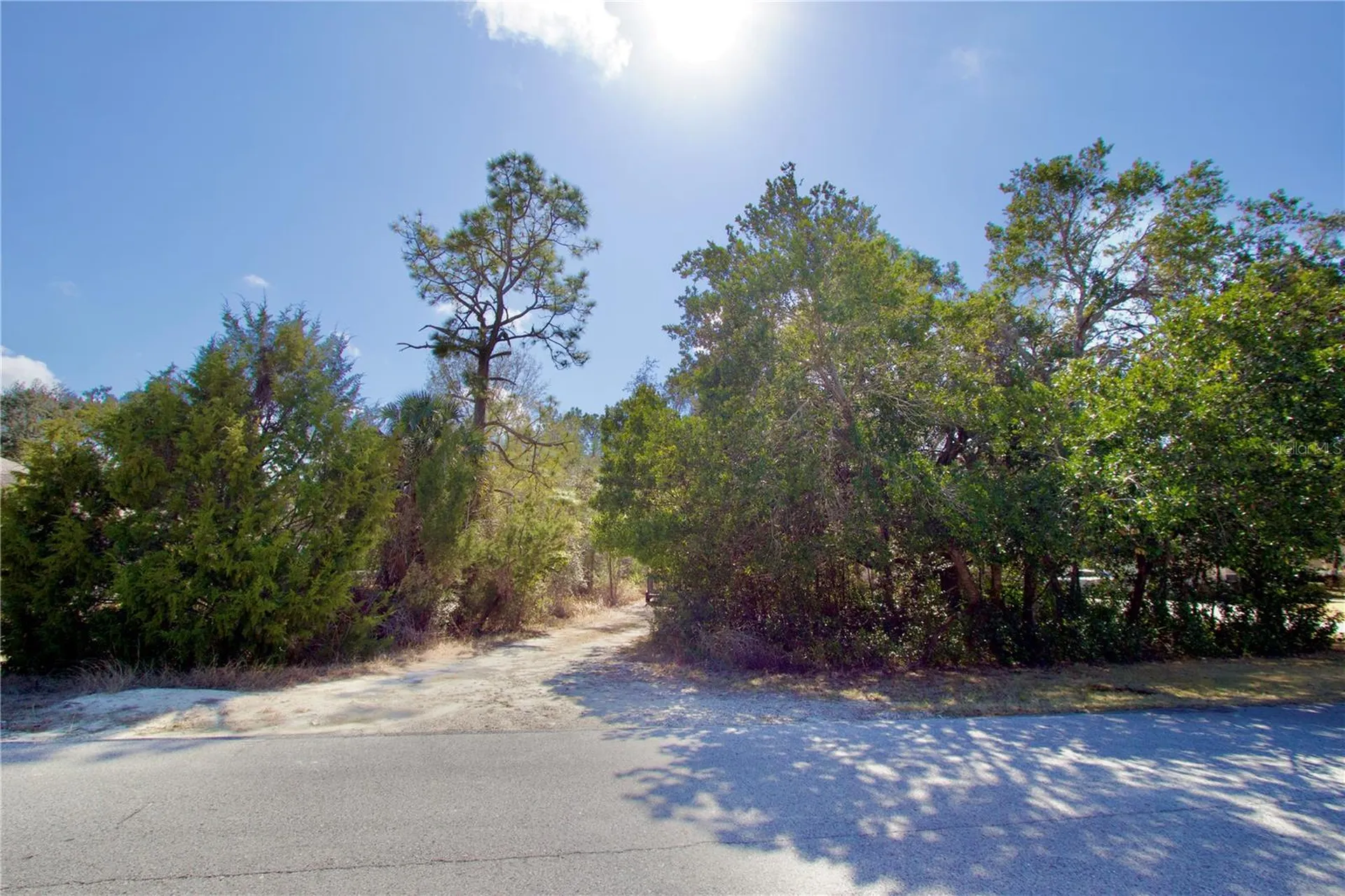 10458 Gypsy Avenue Weeki Wachee FL 34613