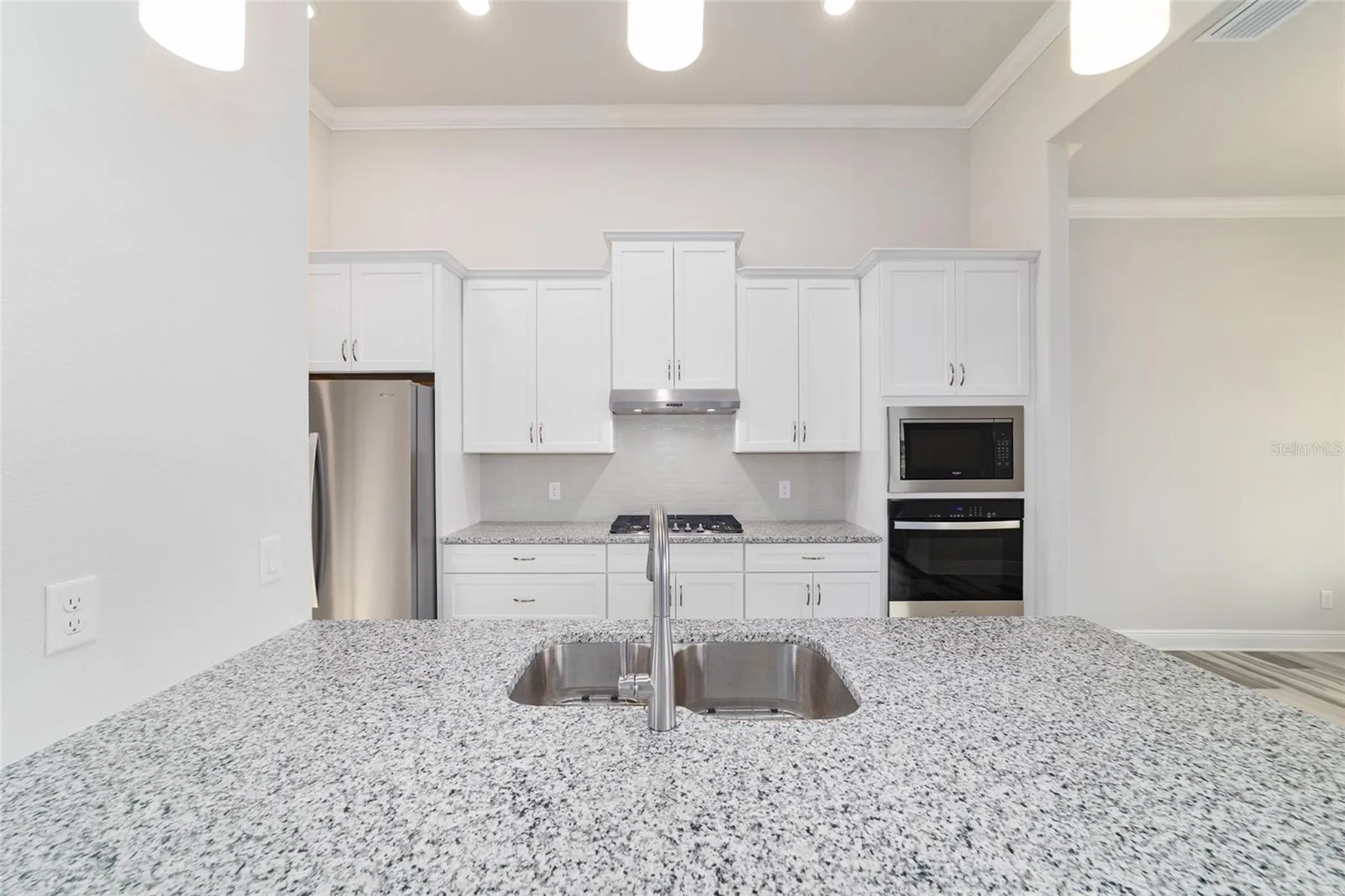 1499 E Pegasus Lane Inverness FL 34453