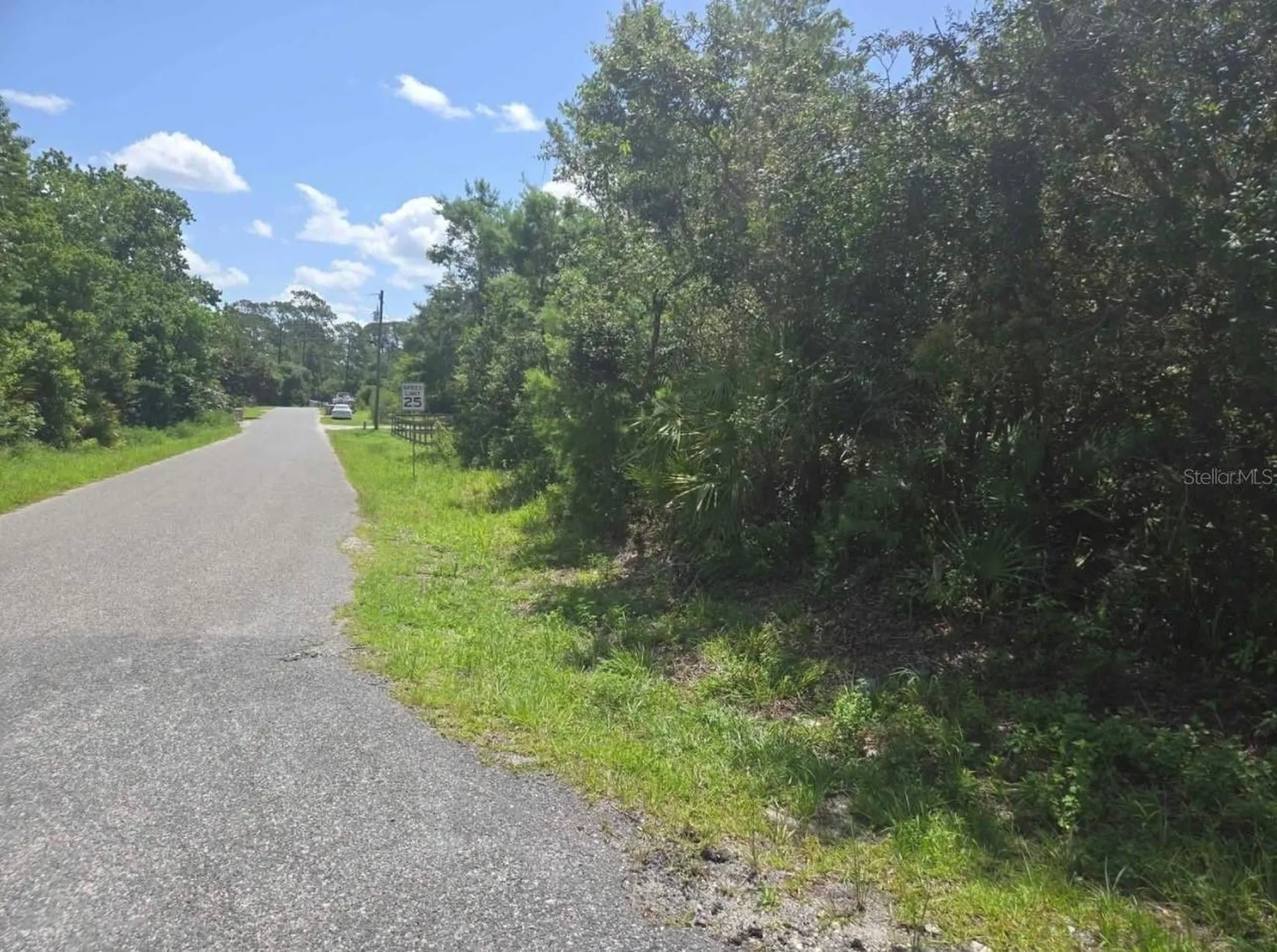 45560 Georgia Street Paisley FL 32767