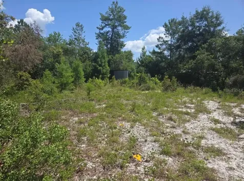 45560 Georgia Street Paisley FL 32767