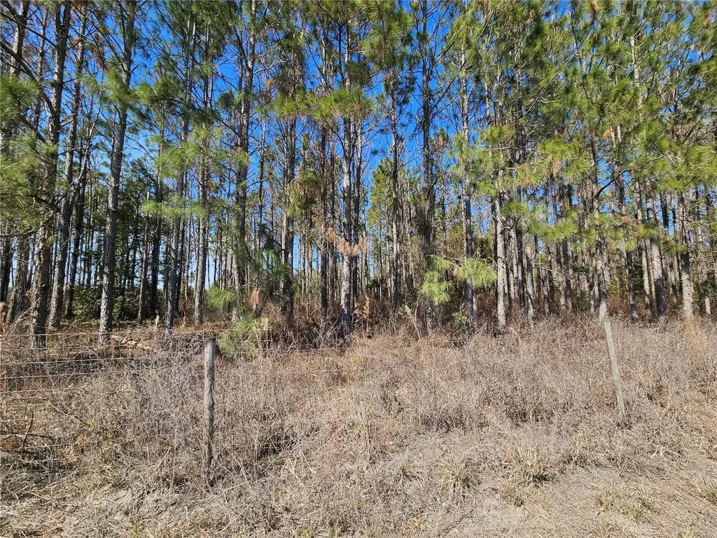 13308 Duck Lake Canal Road Dade City FL 33525