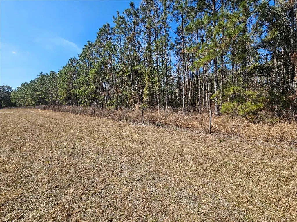 13308 Duck Lake Canal Road Dade City FL 33525