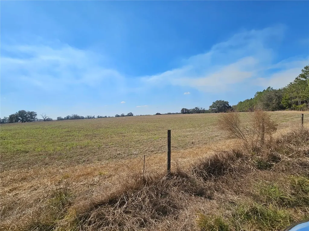 13308 Duck Lake Canal Road Dade City FL 33525