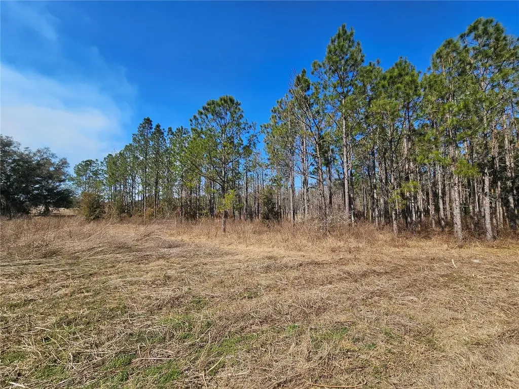 13308 Duck Lake Canal Road Dade City FL 33525