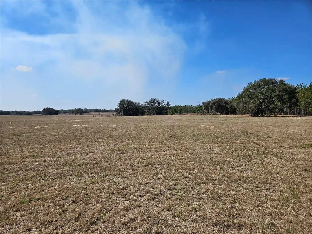 13308 Duck Lake Canal Road Dade City FL 33525