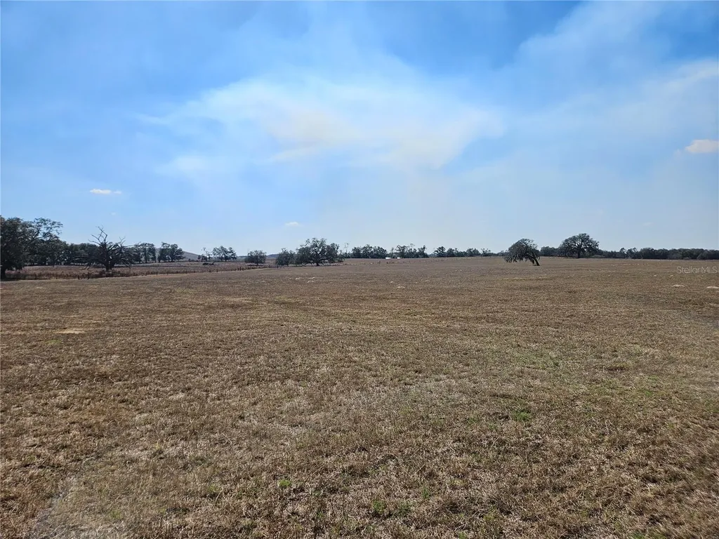 13308 Duck Lake Canal Road Dade City FL 33525