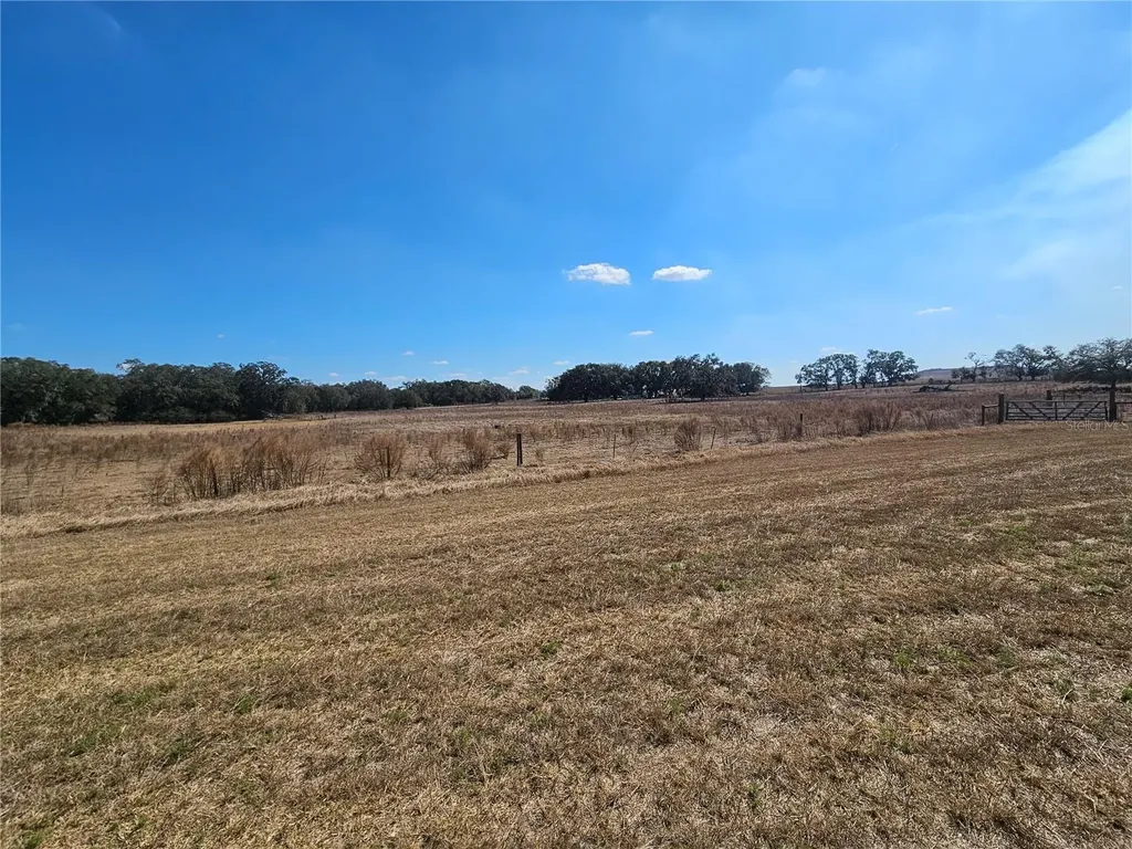 13308 Duck Lake Canal Road Dade City FL 33525