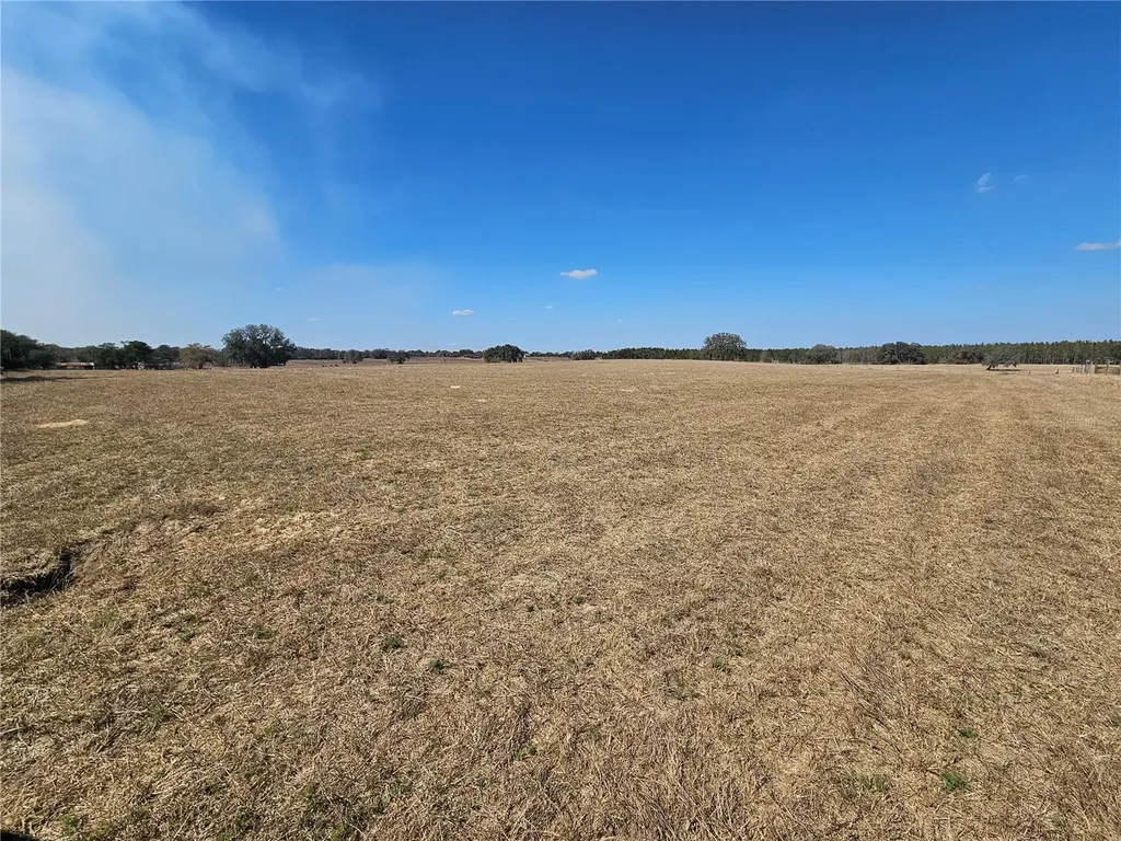 13308 Duck Lake Canal Road Dade City FL 33525