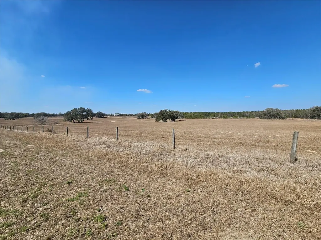 13308 Duck Lake Canal Road Dade City FL 33525