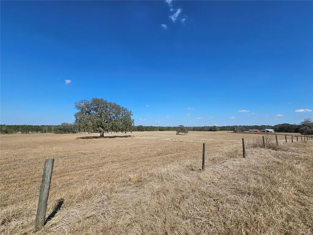13308 Duck Lake Canal Road Dade City FL 33525