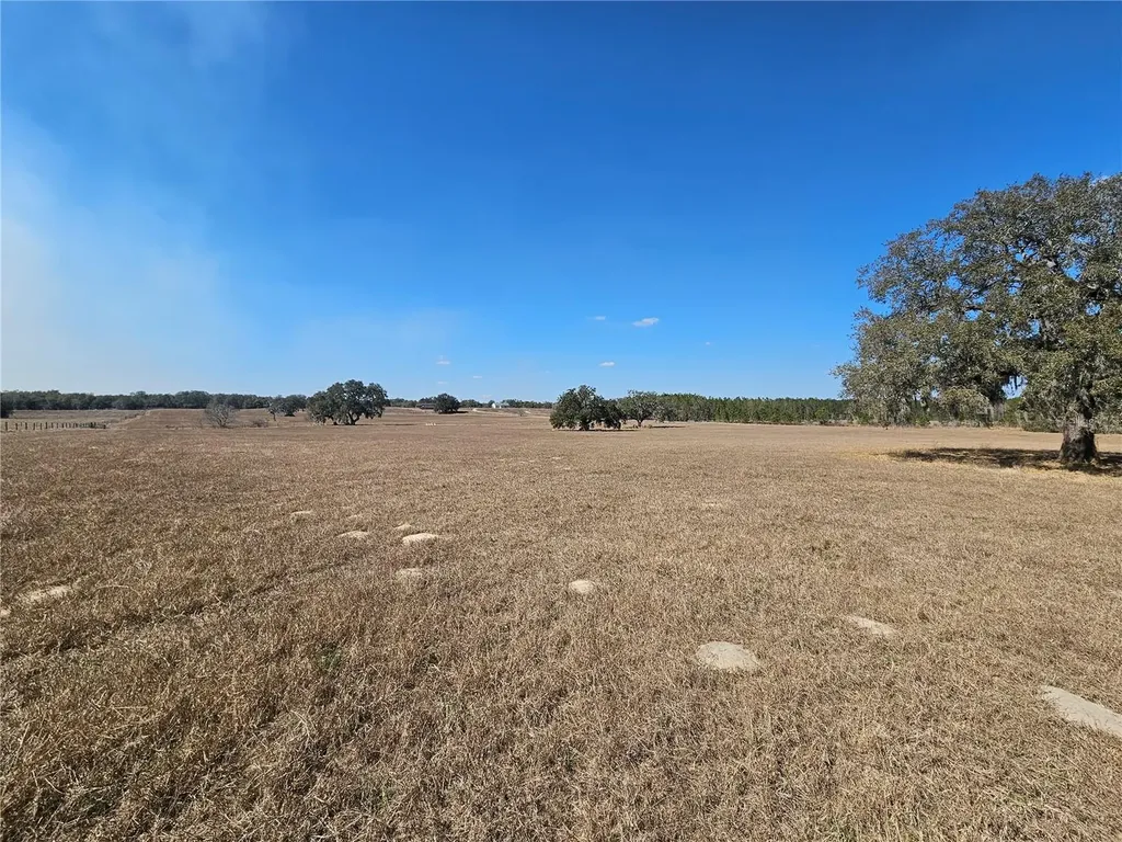 13308 Duck Lake Canal Road Dade City FL 33525