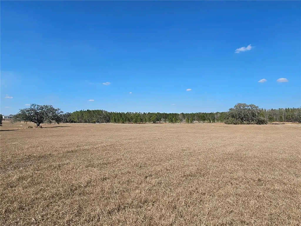 13308 Duck Lake Canal Road Dade City FL 33525