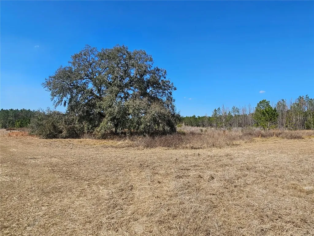 13308 Duck Lake Canal Road Dade City FL 33525