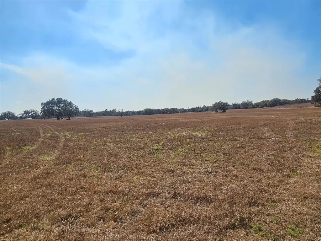13308 Duck Lake Canal Road Dade City FL 33525