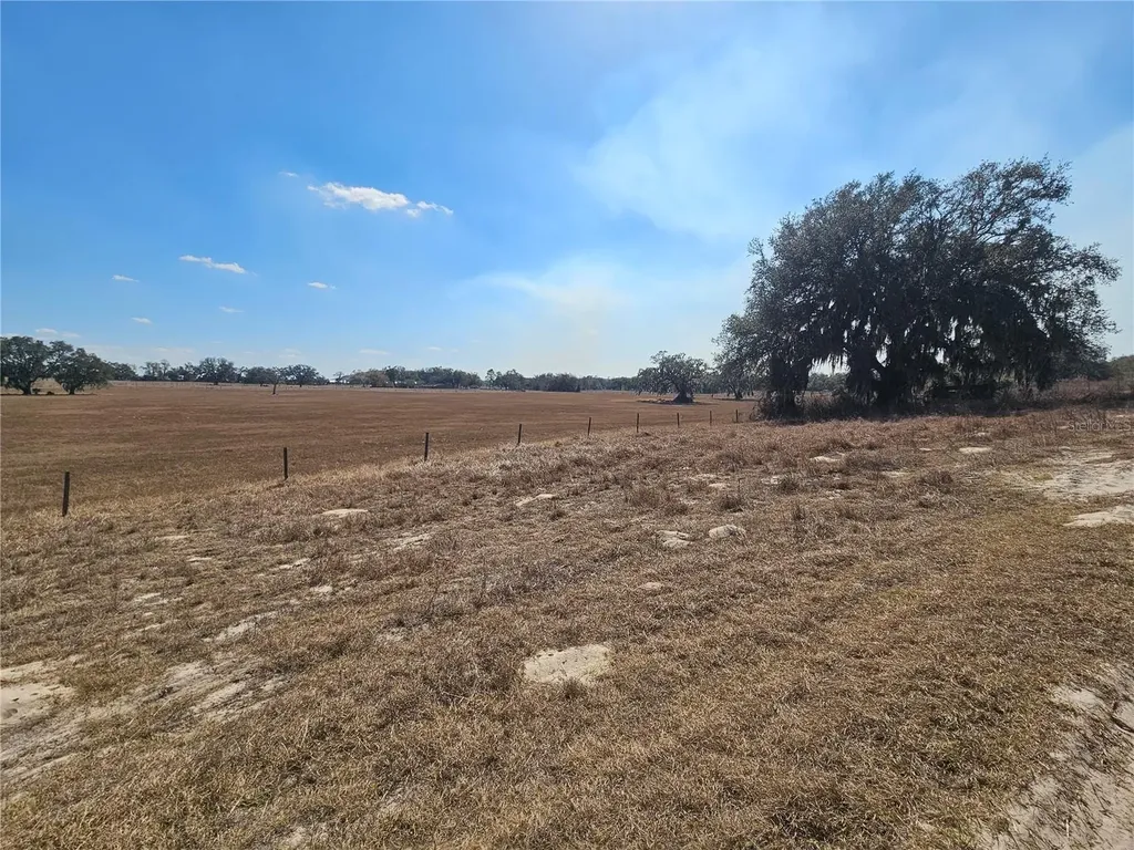 13308 Duck Lake Canal Road Dade City FL 33525
