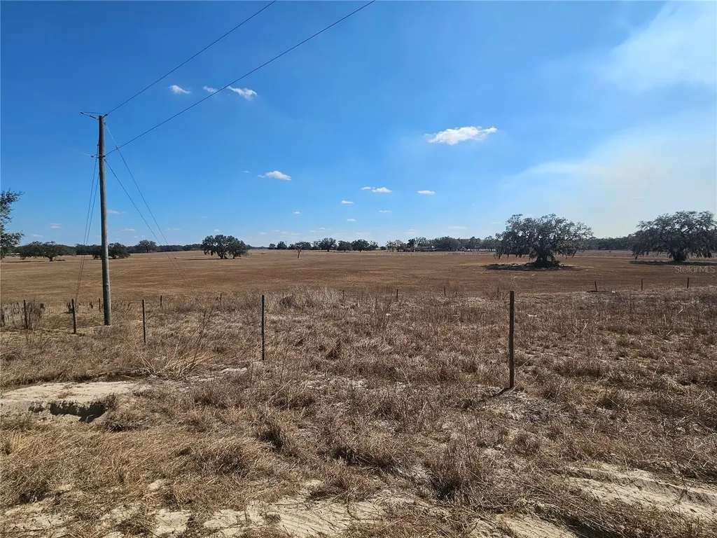 13308 Duck Lake Canal Road Dade City FL 33525