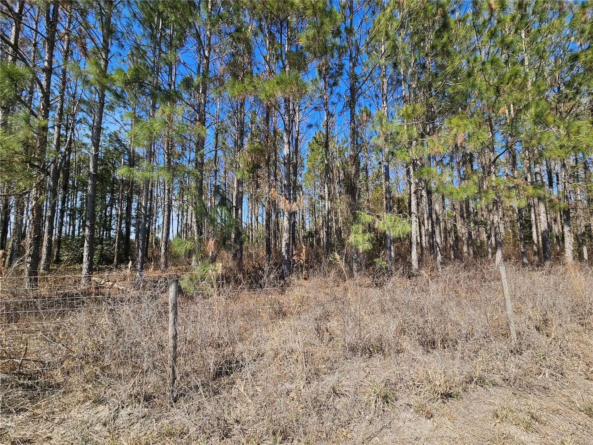13308 Duck Lake Canal Road Dade City FL 33525