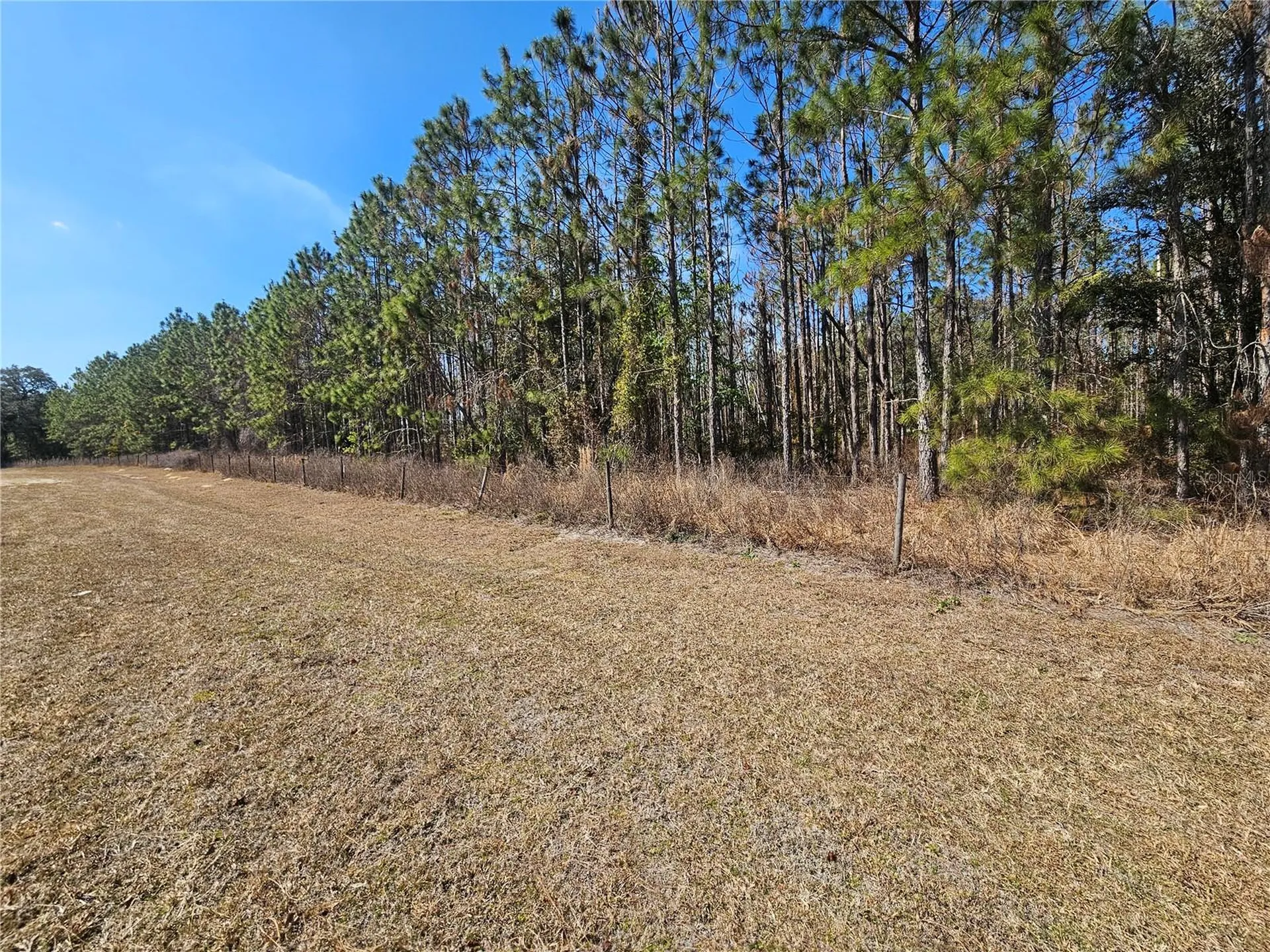 13308 Duck Lake Canal Road Dade City FL 33525