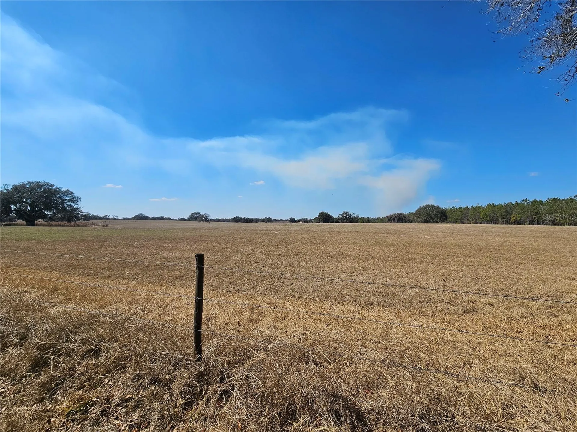 13308 Duck Lake Canal Road Dade City FL 33525