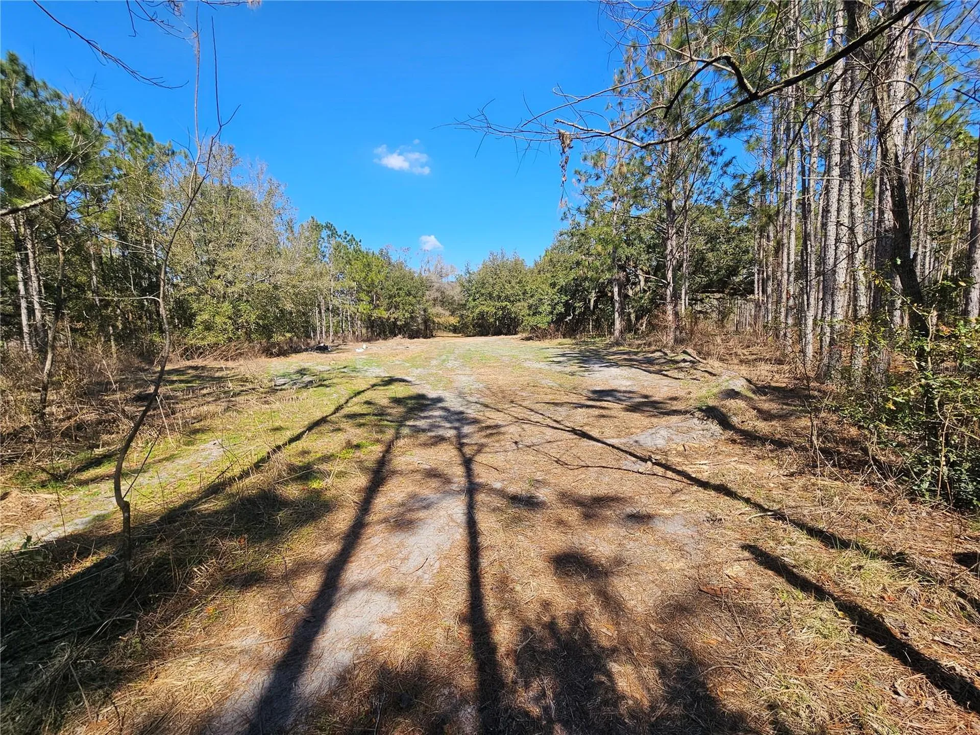 13308 Duck Lake Canal Road Dade City FL 33525